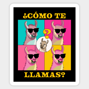 Como Te Llamas, Llama Funny Spanish Teacher Spanish Student Sticker